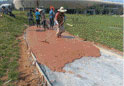 Laying of reinforced concrete for the garden walkway
