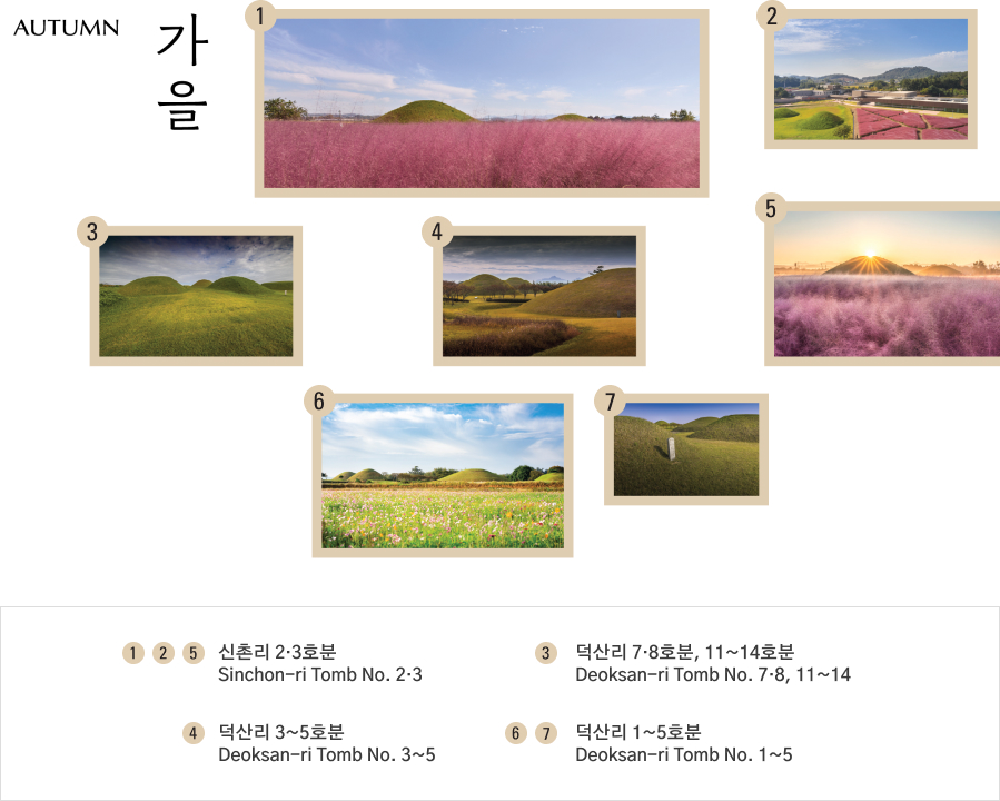 고분의 사계 가을 사진 - 1·2·5 신촌리 2·3호분, 3 덕산리 7·8호분, 11~14호분, 4 덕산리 3~5호분, 6·7 덕산리 1~5호분