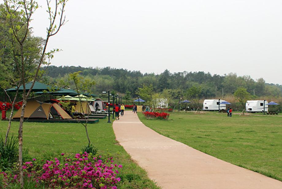 2-캠핑장 전경