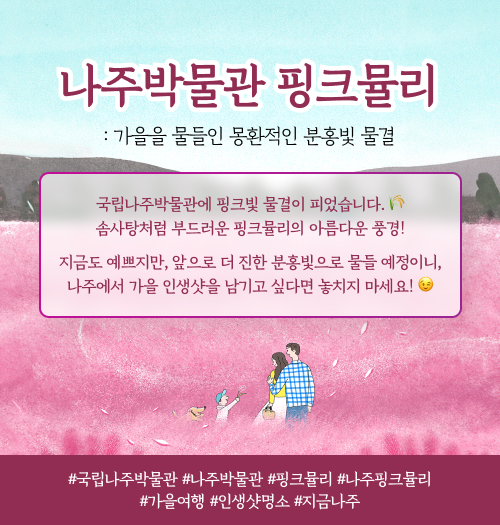 나주박물관 핑크뮬리: 가을을 물들인 몽환적인 분홍빛 물결